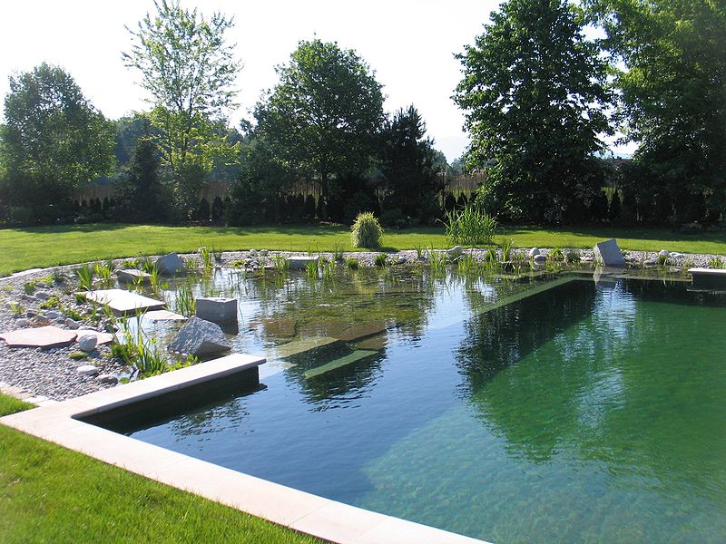 piscine naturelle fonctionnement