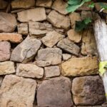 Mur de pierre, feuillage et bout de bois hisser sur la paroi.