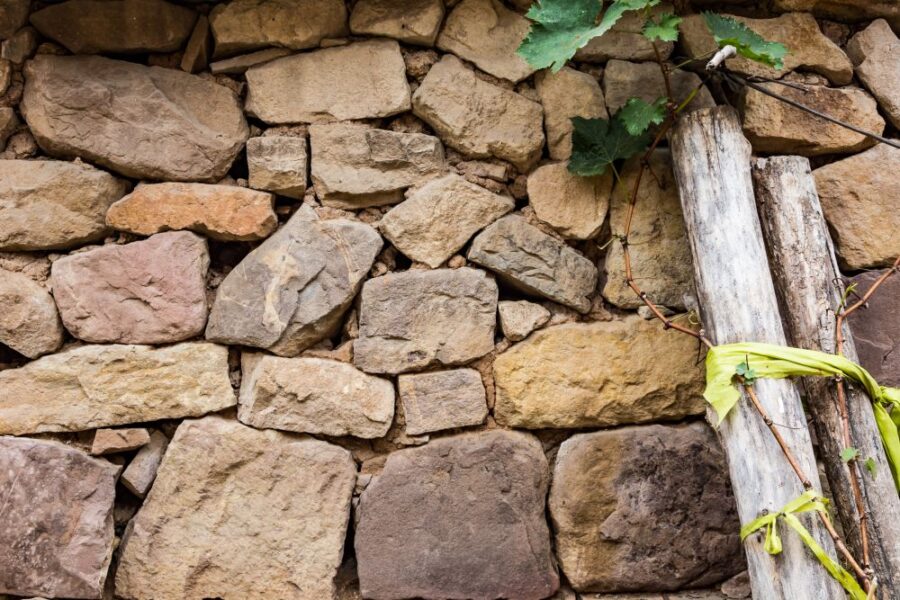 Mur de pierre, feuillage et bout de bois hisser sur la paroi.